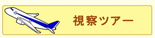 視察ツアー